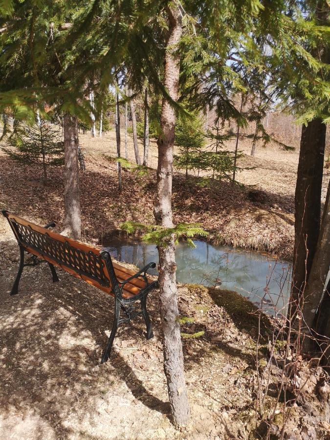 Medve Dome - Luxury Camping In The Middle Of Nature Hotel Vlahita Luaran gambar