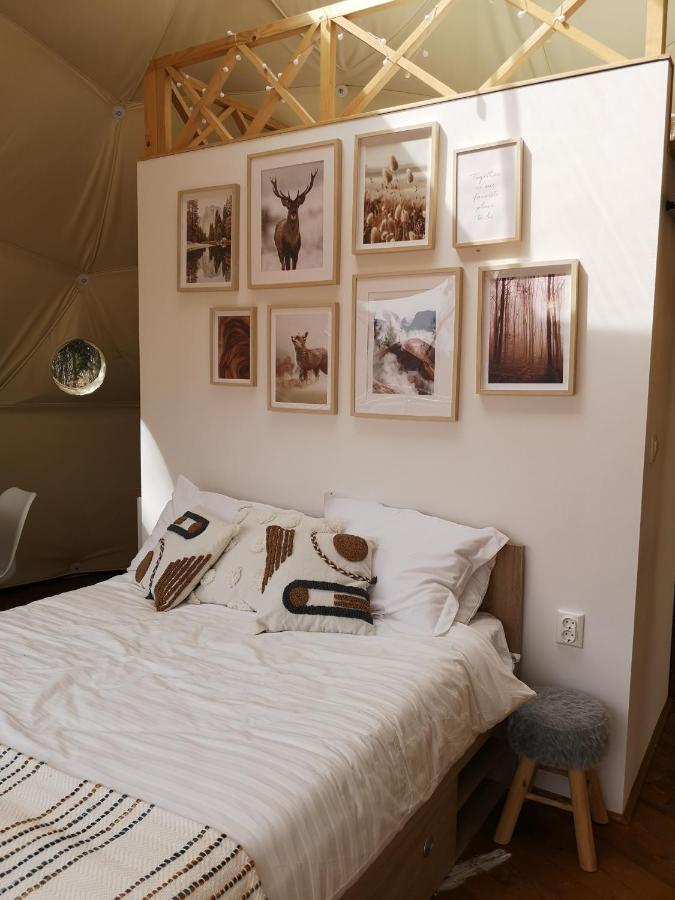 Medve Dome - Luxury Camping In The Middle Of Nature Hotel Vlahita Luaran gambar