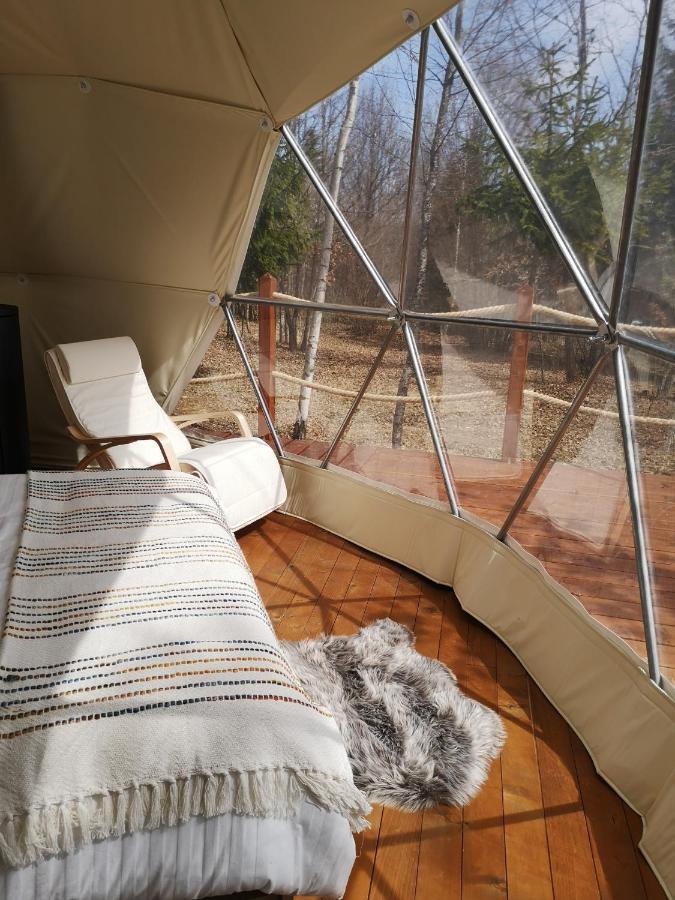 Medve Dome - Luxury Camping In The Middle Of Nature Hotel Vlahita Luaran gambar