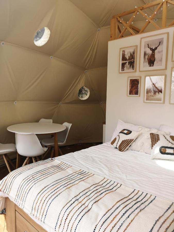 Medve Dome - Luxury Camping In The Middle Of Nature Hotel Vlahita Luaran gambar