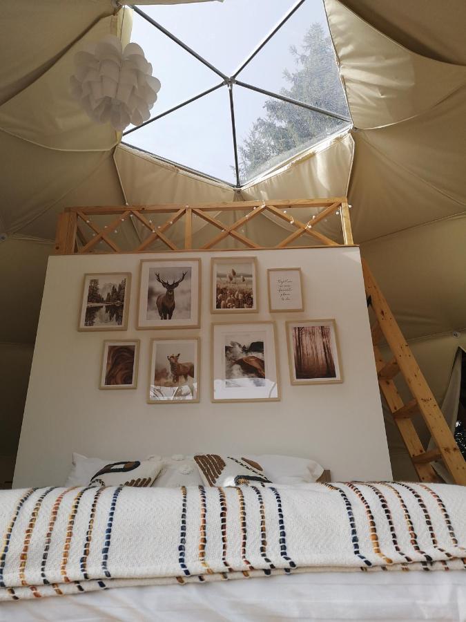 Medve Dome - Luxury Camping In The Middle Of Nature Hotel Vlahita Luaran gambar