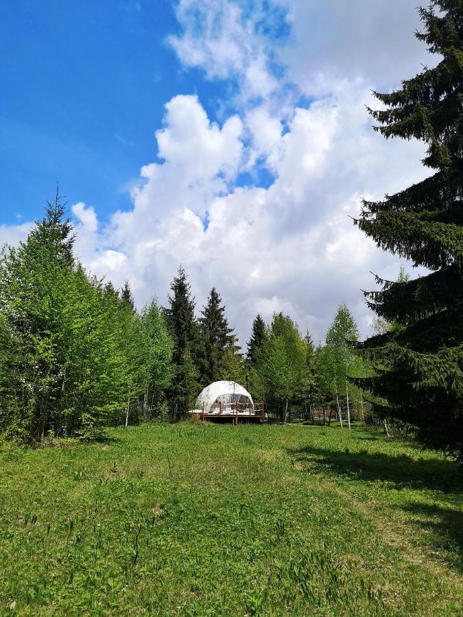 Medve Dome - Luxury Camping In The Middle Of Nature Hotel Vlahita Luaran gambar
